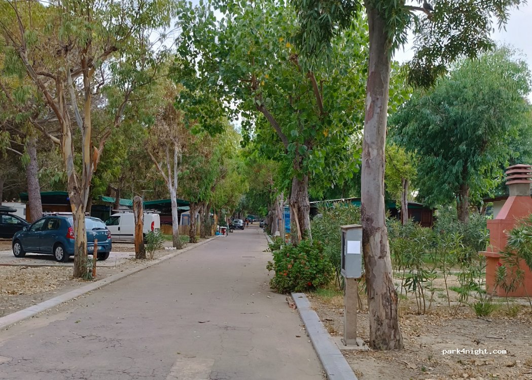 Camping La Pineta — foto