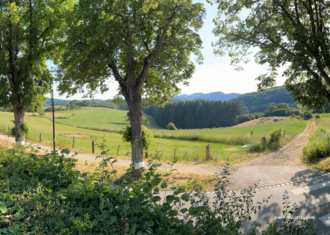 (9665) Léifreg - 14 Haaptstrooss — foto 3
