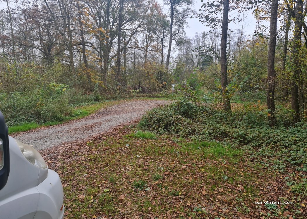 (88454) Hochdorf - Unnamed Road — foto