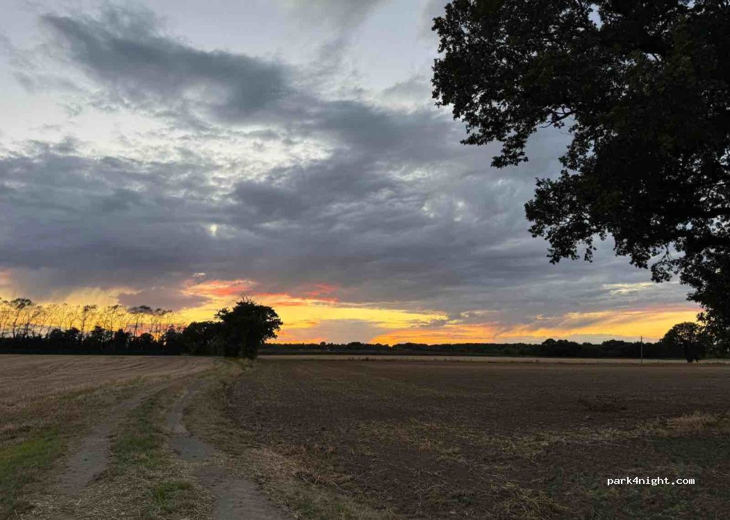 (YO19) Escrick - A19 — foto
