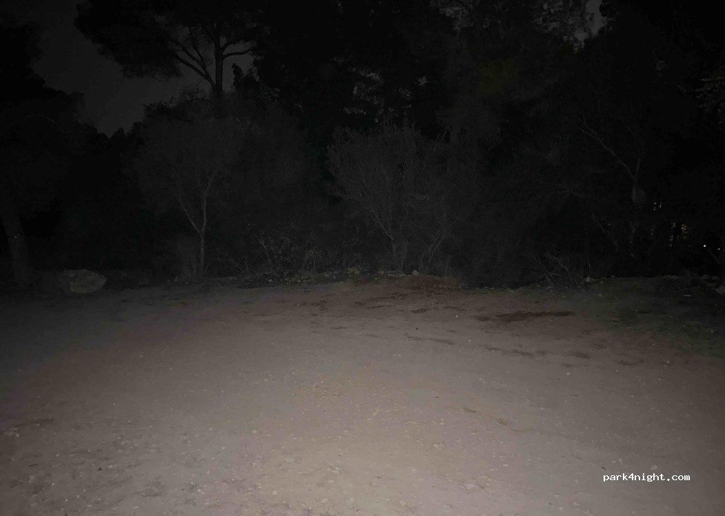 (07160) Cala Fornells - — foto