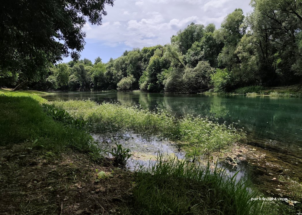 (81410) Kosić - — foto 3