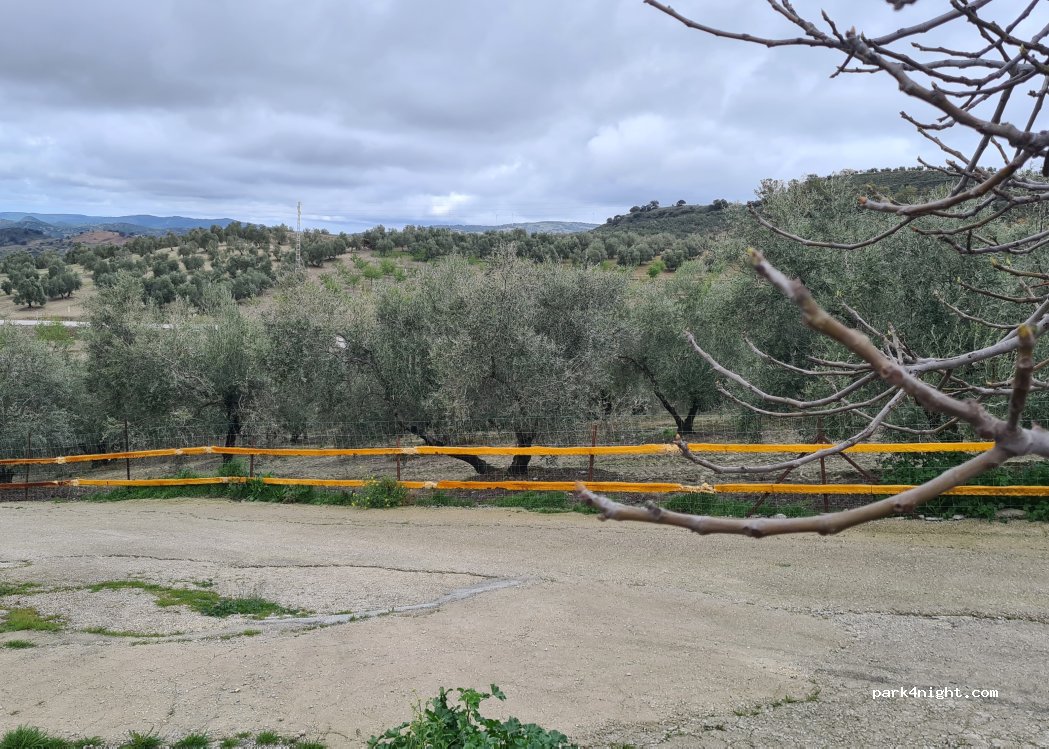 Camping Las Merinas — foto 4