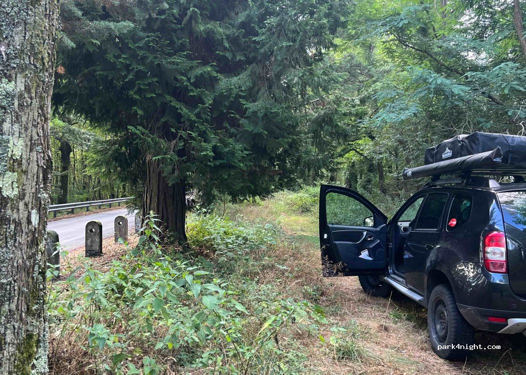 (54035) Fosdinovo - 446 Localita' Piana di Copino — foto