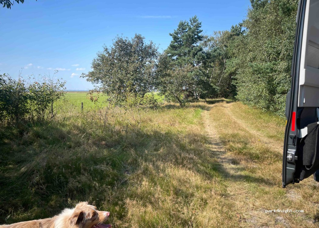 (261 93) Saxtorp - 231 Barsebäcksvägen — foto 3