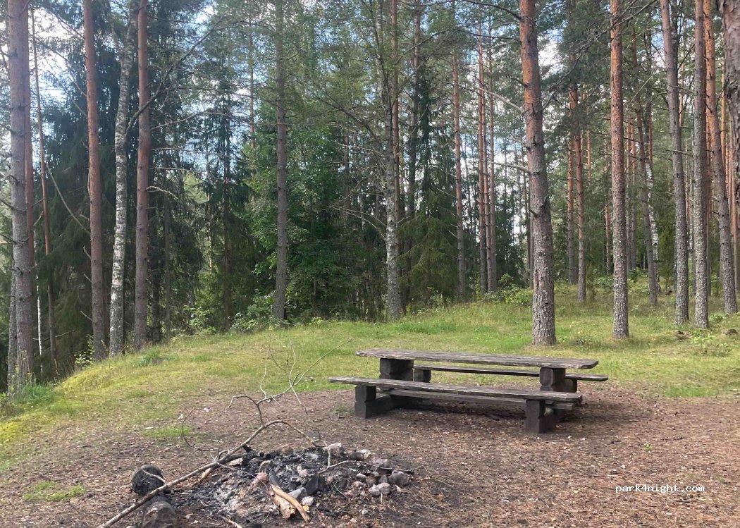 (4730) Oliņas - — foto 2