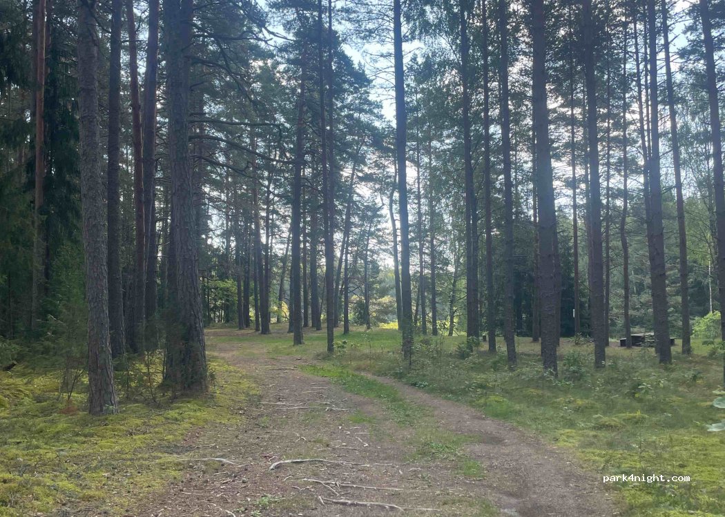 (4730) Oliņas - — foto 3