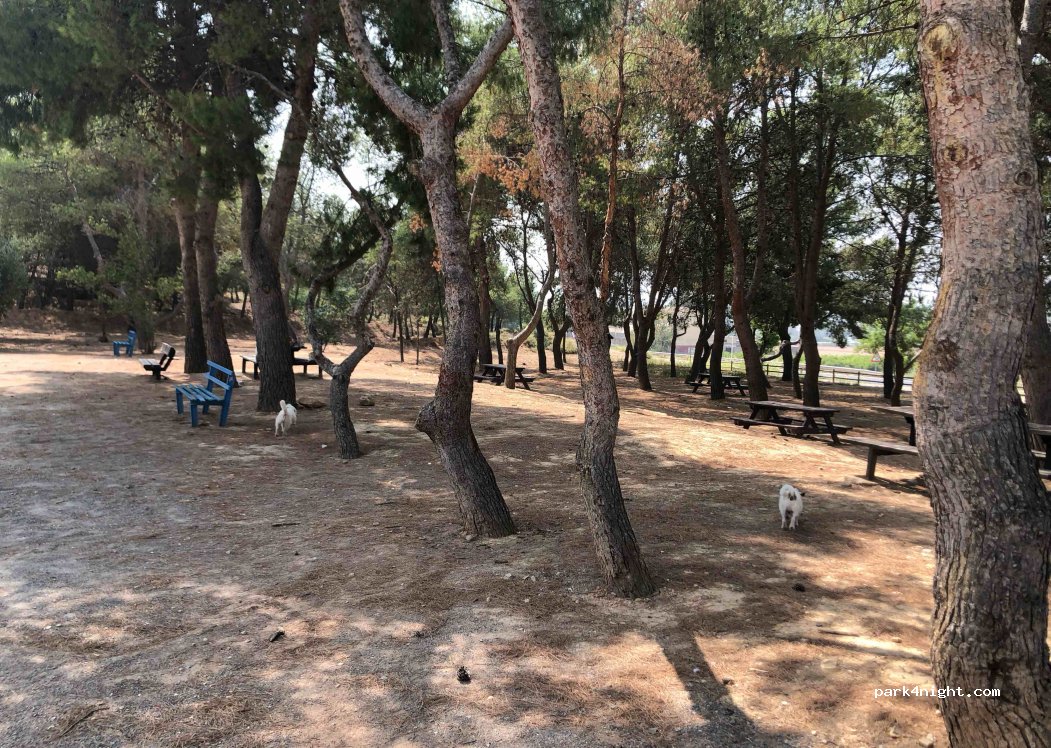 (50100) Zaragoza - Parque de Cabañas — foto 3