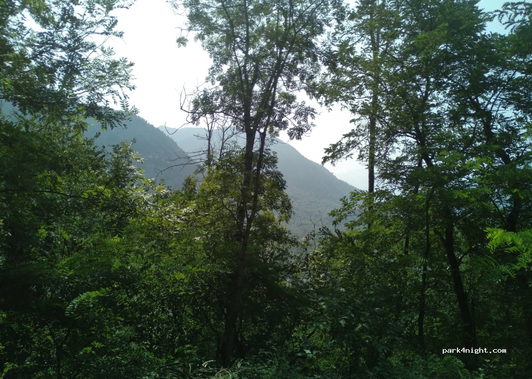 (09220) Val-de-Sos - 65 Route d'Orus — foto