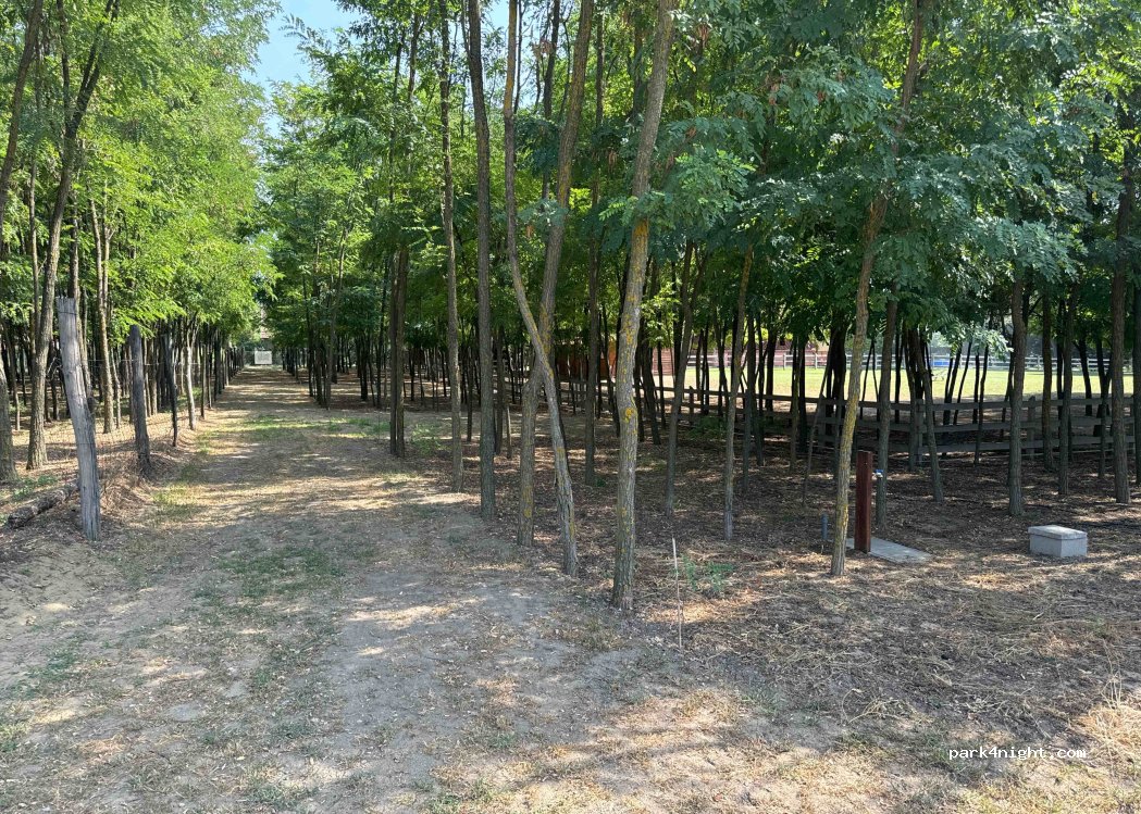Alpaca Camp — foto 2