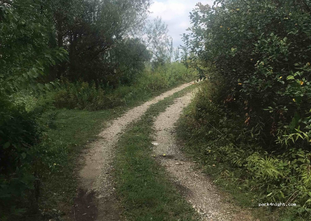 (10361) Svibje - Unnamed road — foto