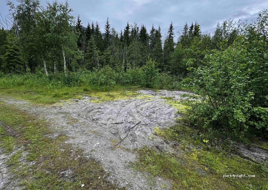 (8615) Svartisdal - — foto