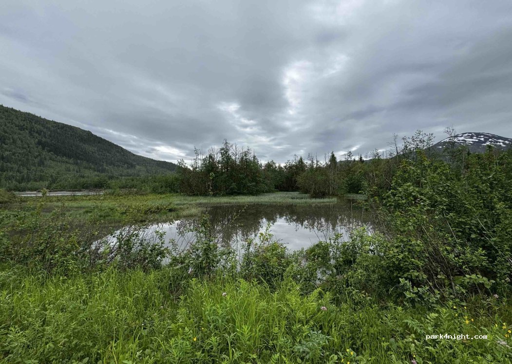 (8615) Svartisdal - — foto 2