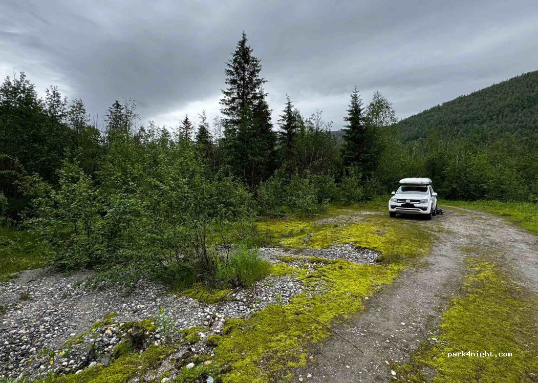 (8615) Svartisdal - — foto 3