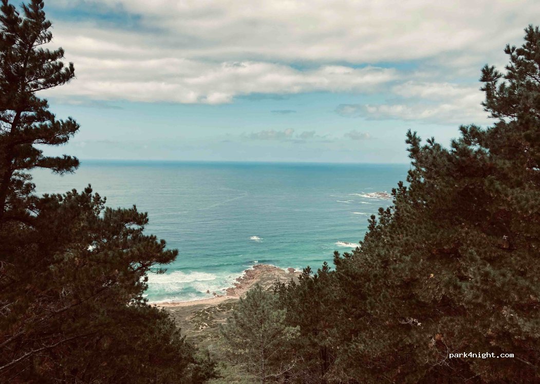 (15122) Brañas Verdes - — foto
