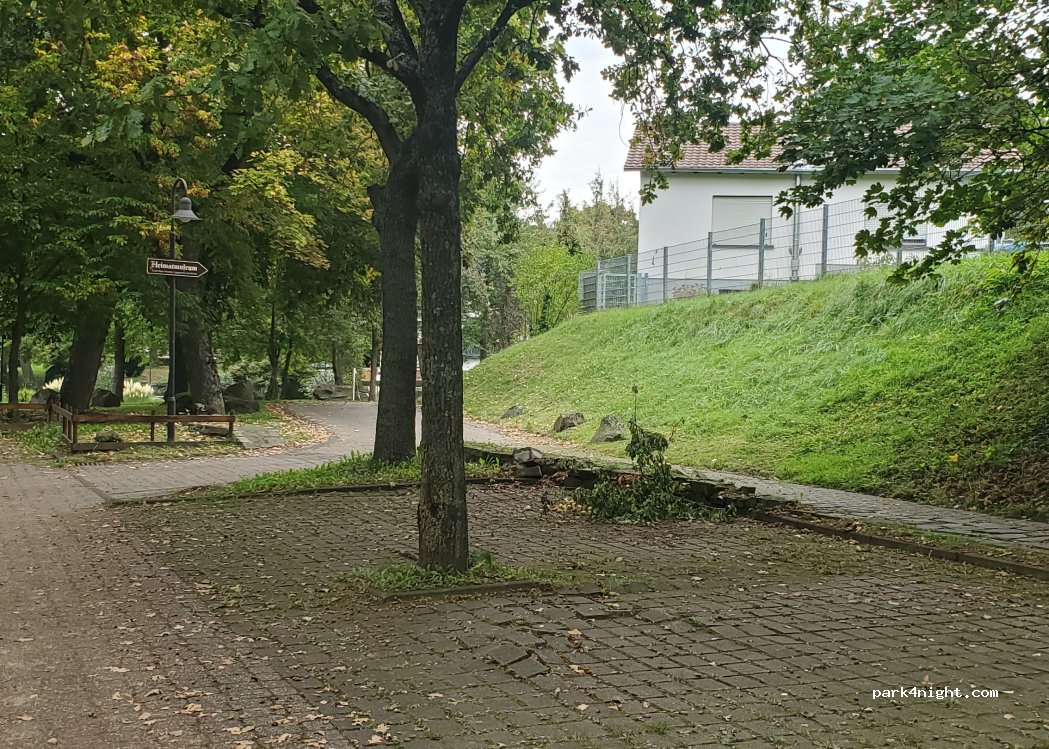 (56294) Münstermaifeld - 15 K35 — foto 3