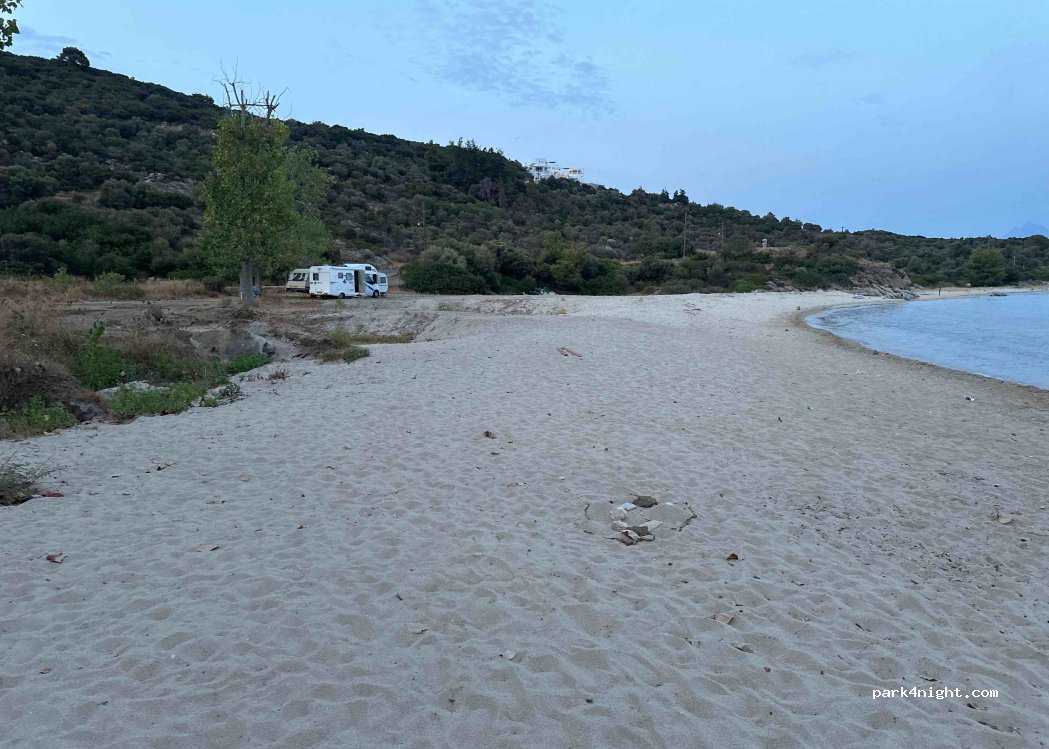 (630 72) Sarti - — foto