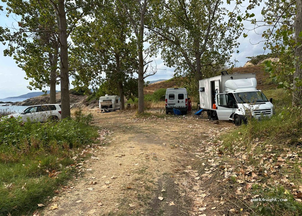 (630 72) Sarti - — foto 4