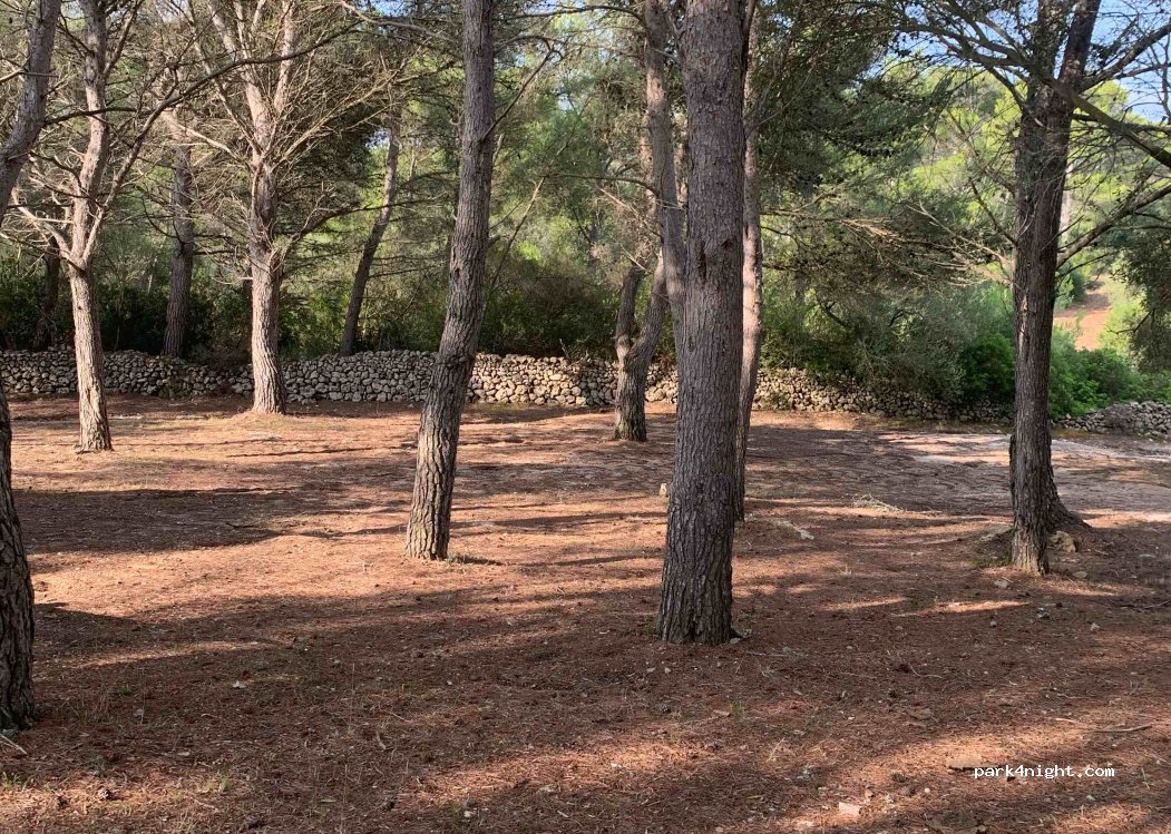 (07730) Alaior - 14 Diseminado Poligono 08 — foto