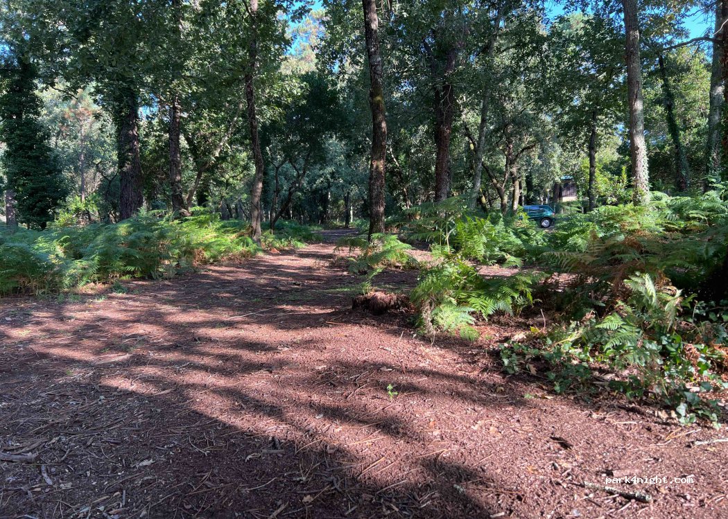 (33510) Andernos-les-Bains - 8 Rue Jean Giono — foto