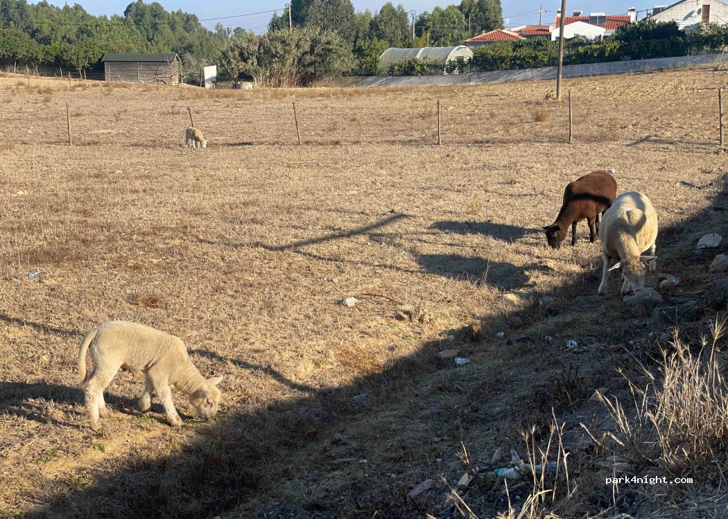 (8670-320) Odeceixe - 35 Urbanização dos Malhadais — foto