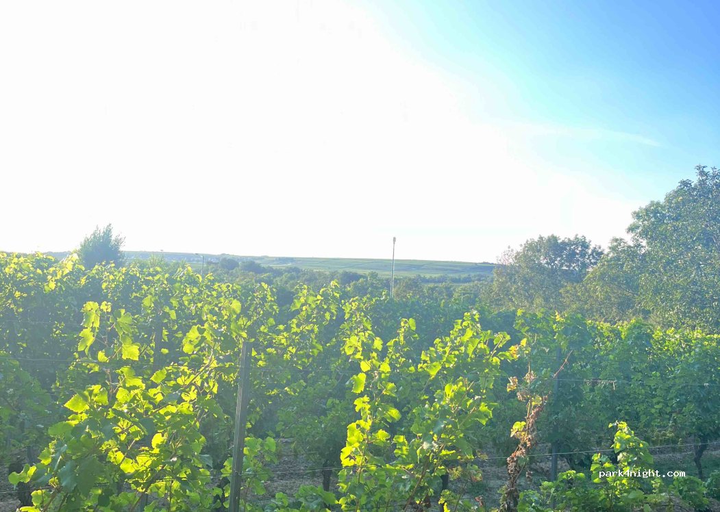 Weingut Ochs — foto 3