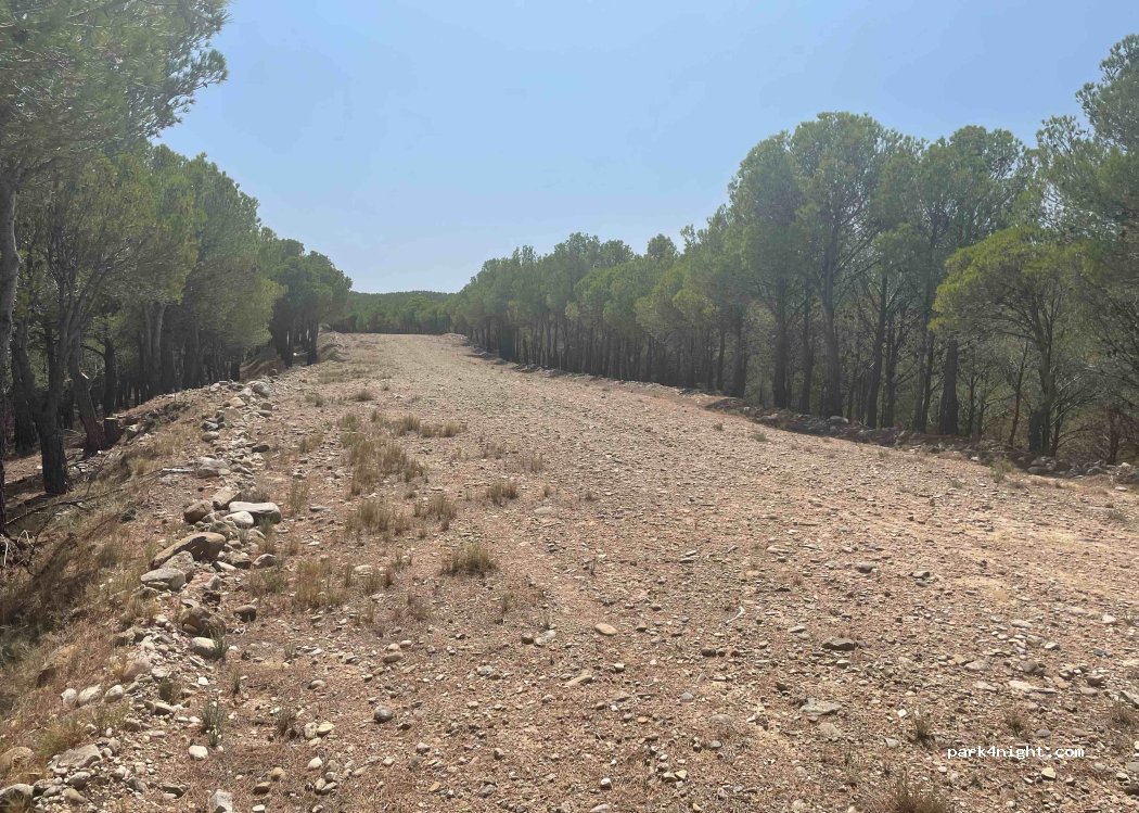 (50512) Torrellas - Unnamed Road — foto