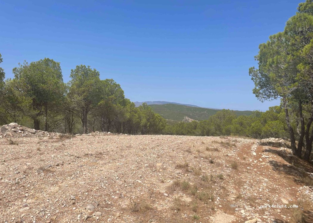 (50512) Torrellas - Unnamed Road — foto 2