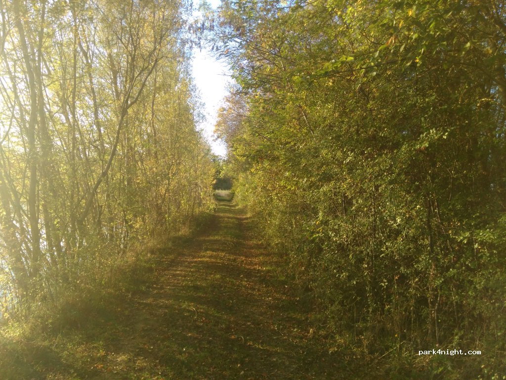 (32600) L'Isle-Jourdain - N124 — foto 2