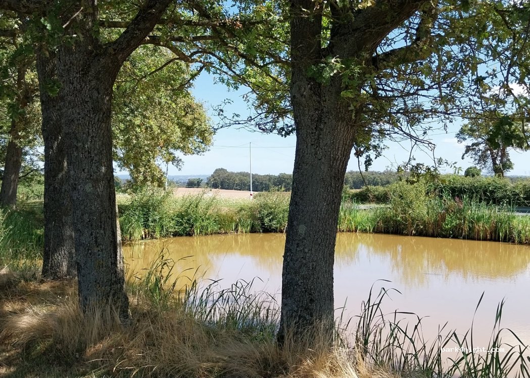 (03370) Chazemais - 6 Route du Château de Chauvières — foto