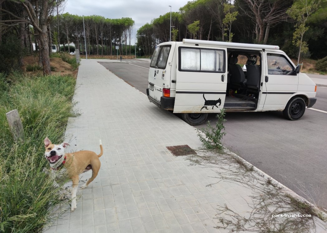 (17252) Sant Antoni de Calonge - Unnamed Road — foto 3