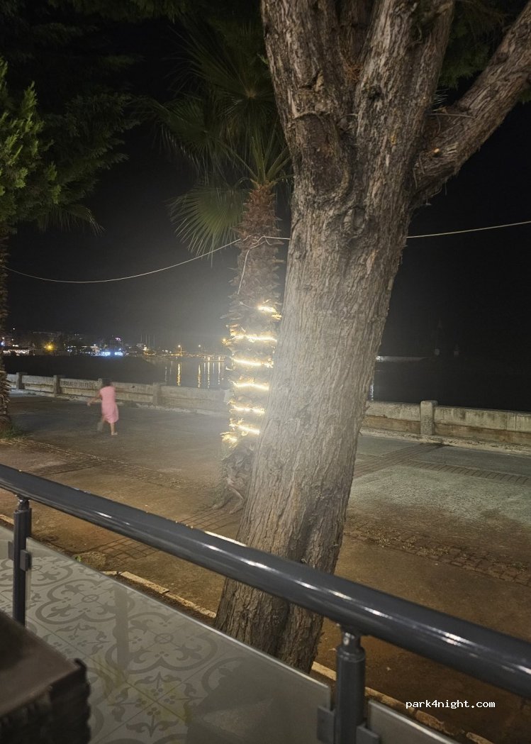 (61300) Akçaabat - No:146 Adnan Menderes Caddesi — foto