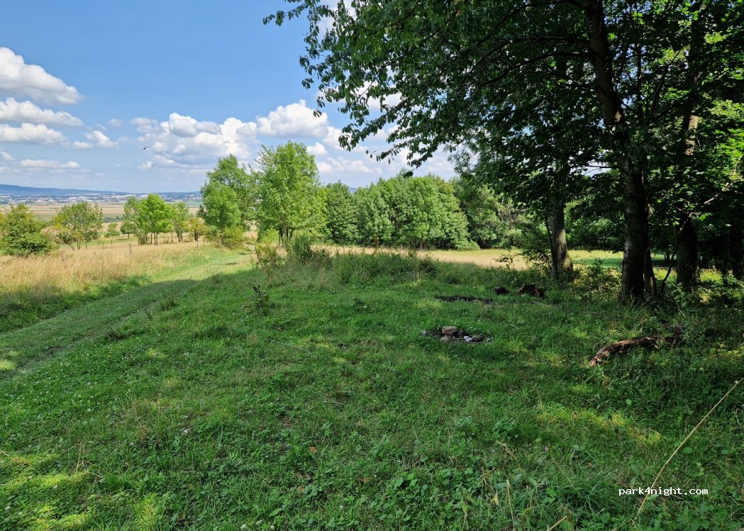 (58-251) Pieszyce - — foto