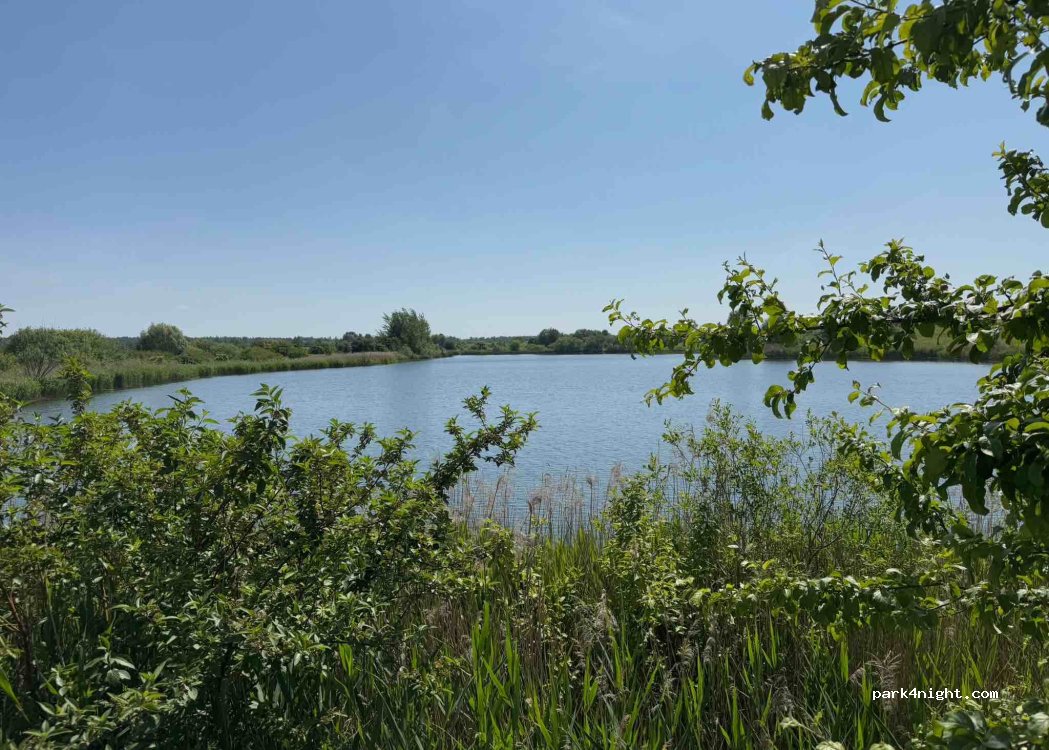 (46163) Paraželiai - 43 Nemuno gatvė — foto 2