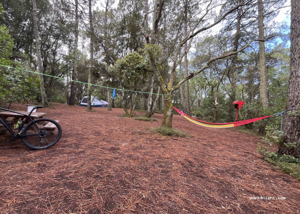 L'Ermitage camping & nature Lacanau — foto 2