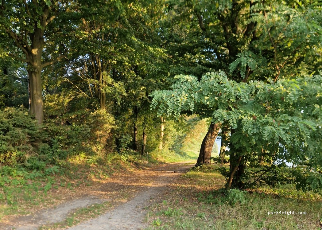 (3680) Gottsdorf - 3 Auf der Heide — foto 3