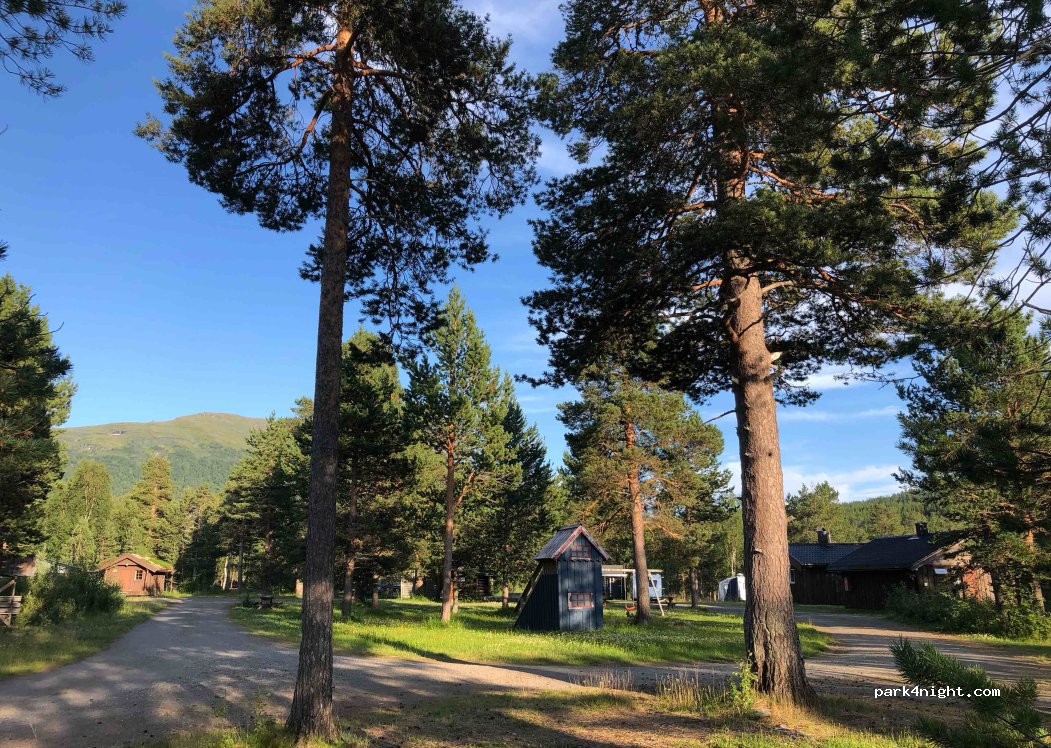 Elvmøthei Fjellgård — foto 3