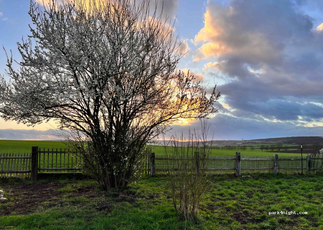 (06632) Freyburg (Unstrut) - 35 Dobichau — foto 4