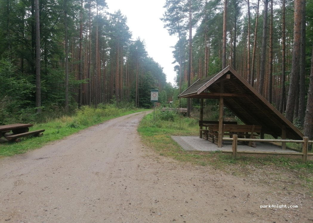 (84-113) Słuchowo - — foto