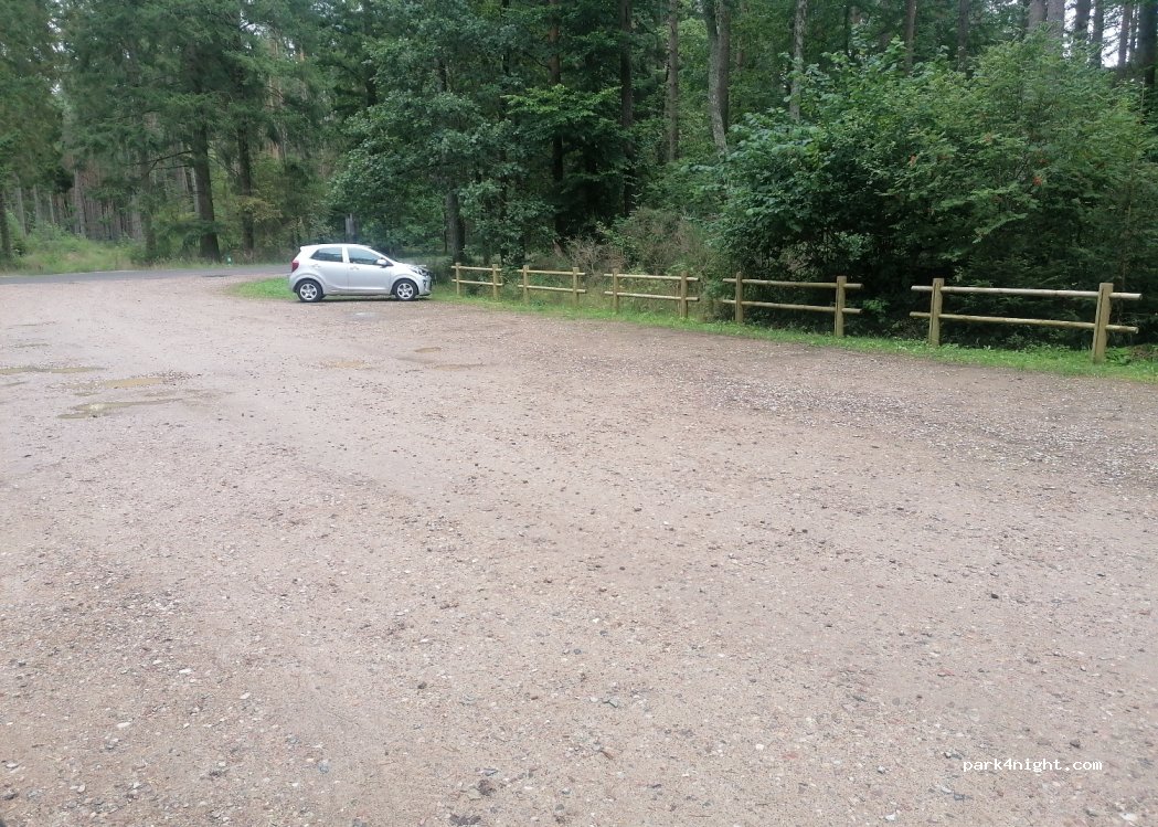 (84-113) Słuchowo - — foto 2