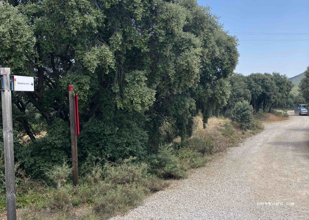 (42113) Matalebreras - Camino de la Carretera Vieja Alta — foto