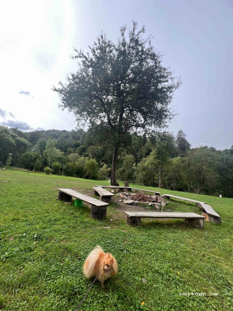 Kemping - Baza namiotowa w Dwerniku — foto