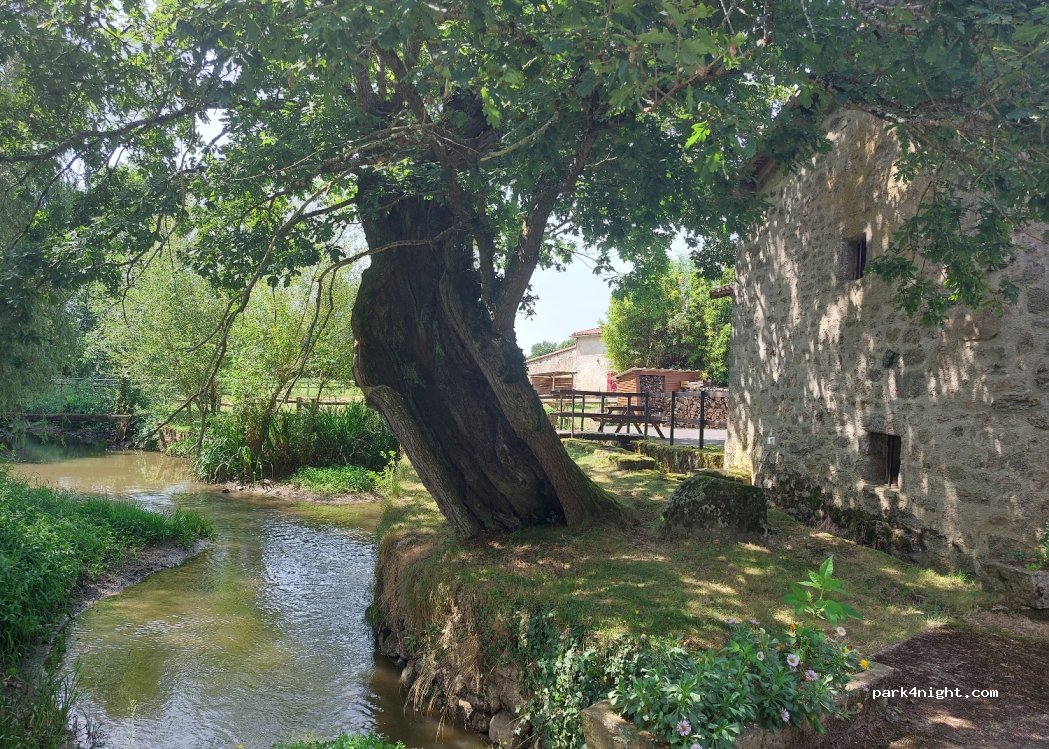 (79130) Azay-sur-Thouet - 1 Le Moulin des Prés — foto 2