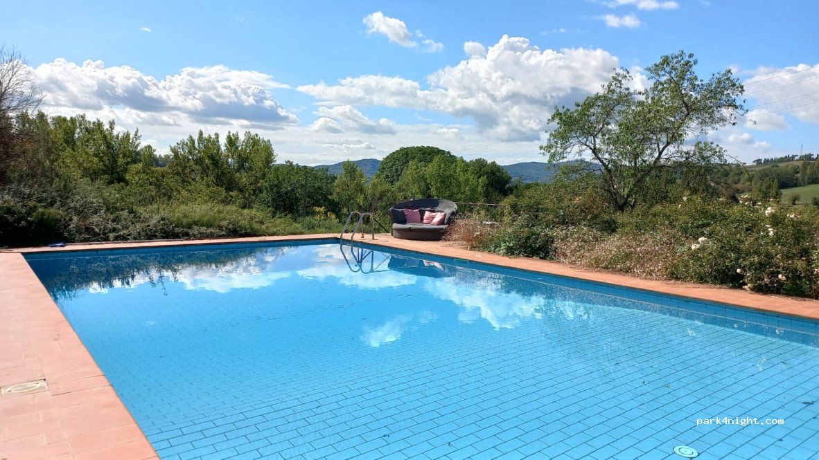 Idyllische kleine Wachtelfarm — foto 4
