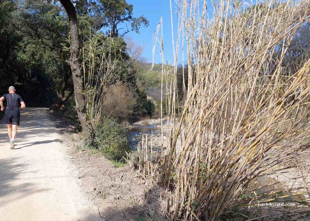 (83300) Draguignan - D49 — foto