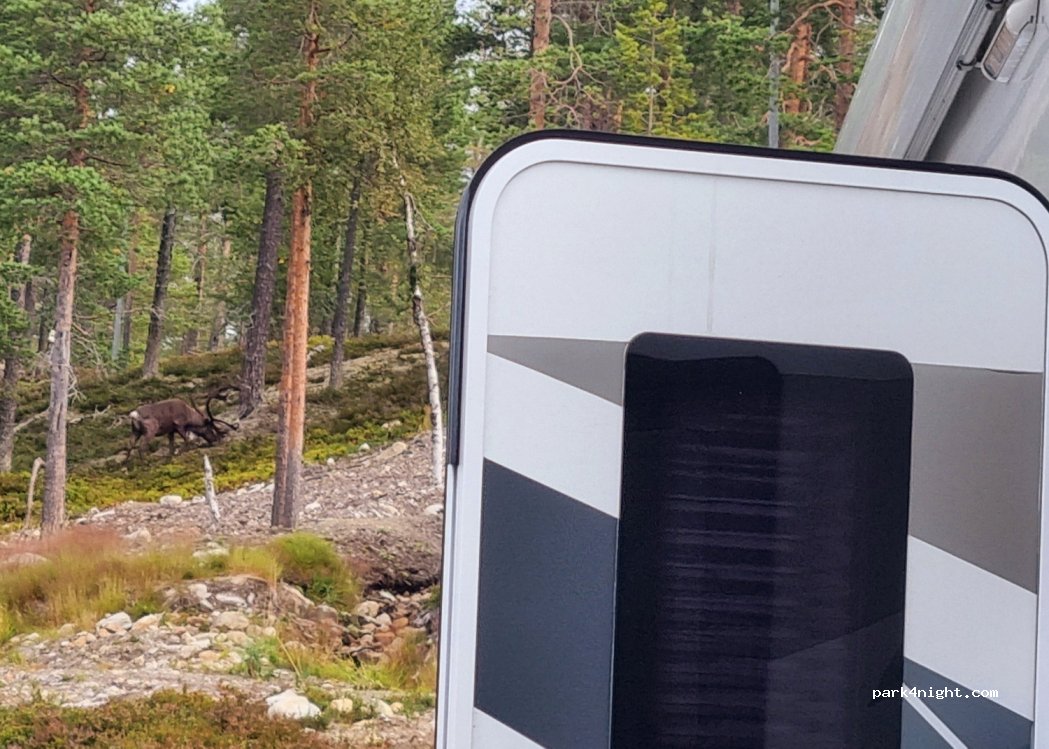 Idre Fjäll Camping Renen — foto 3