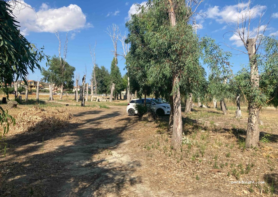 (88842) Steccato di Cutro - 156 Via delle Bouganville — foto 3