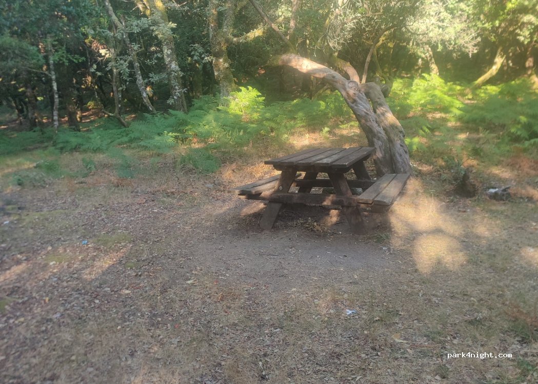 (5470) Cabril - N308 — foto