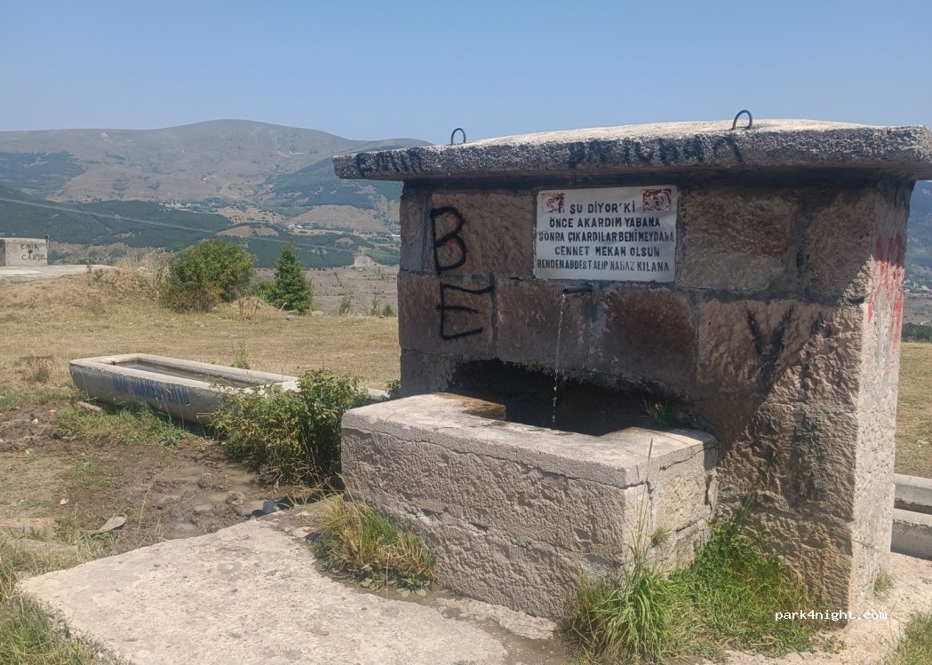 (75802) Söğütlükaya - D955 — foto