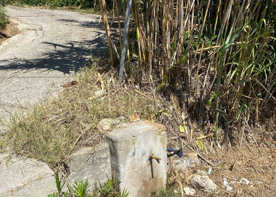 (57037) Portoferraio - 38 Via Mentana — foto